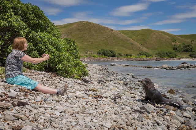 087 Kaikoura.jpg